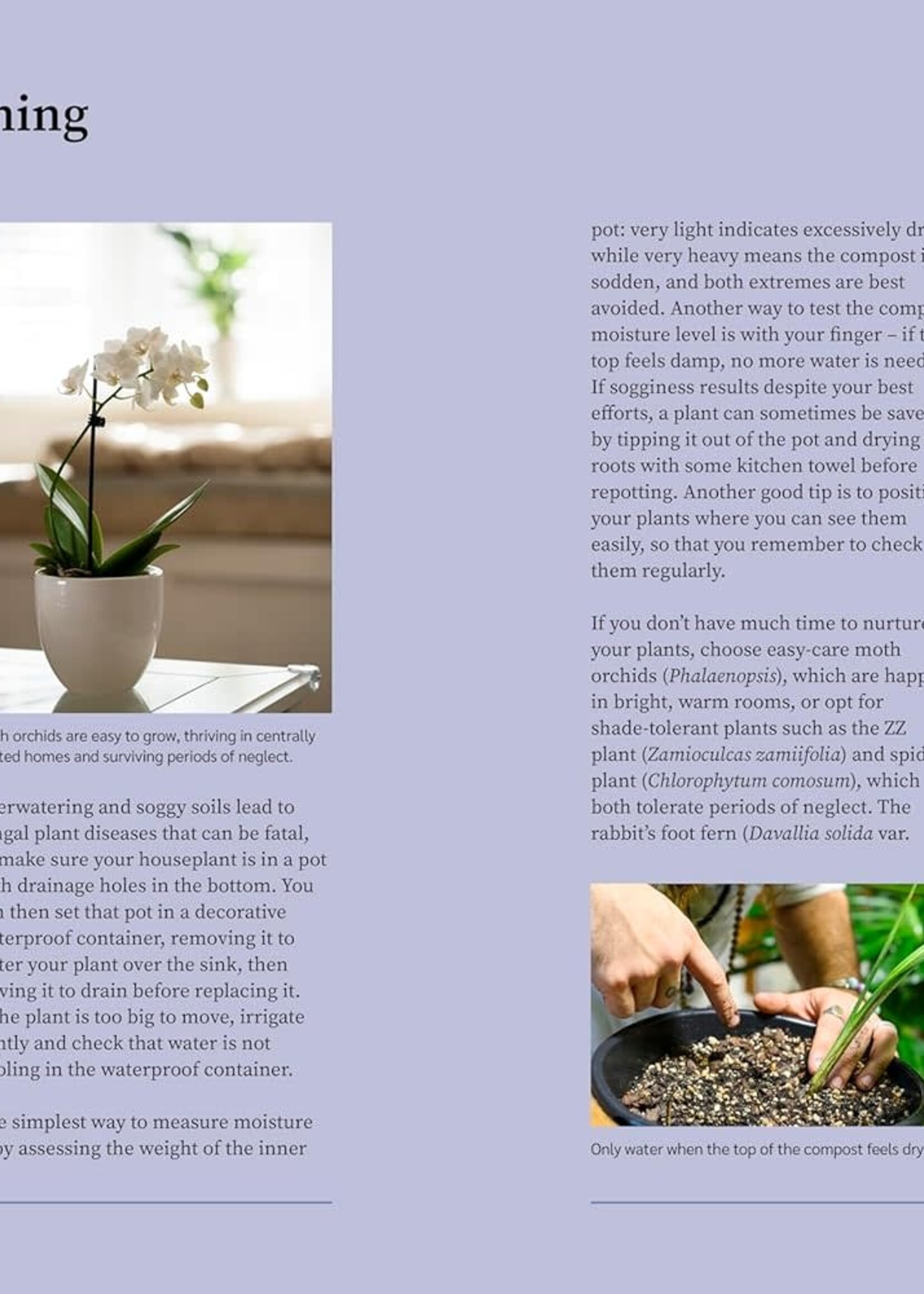 RHS Garden Almanac 2026