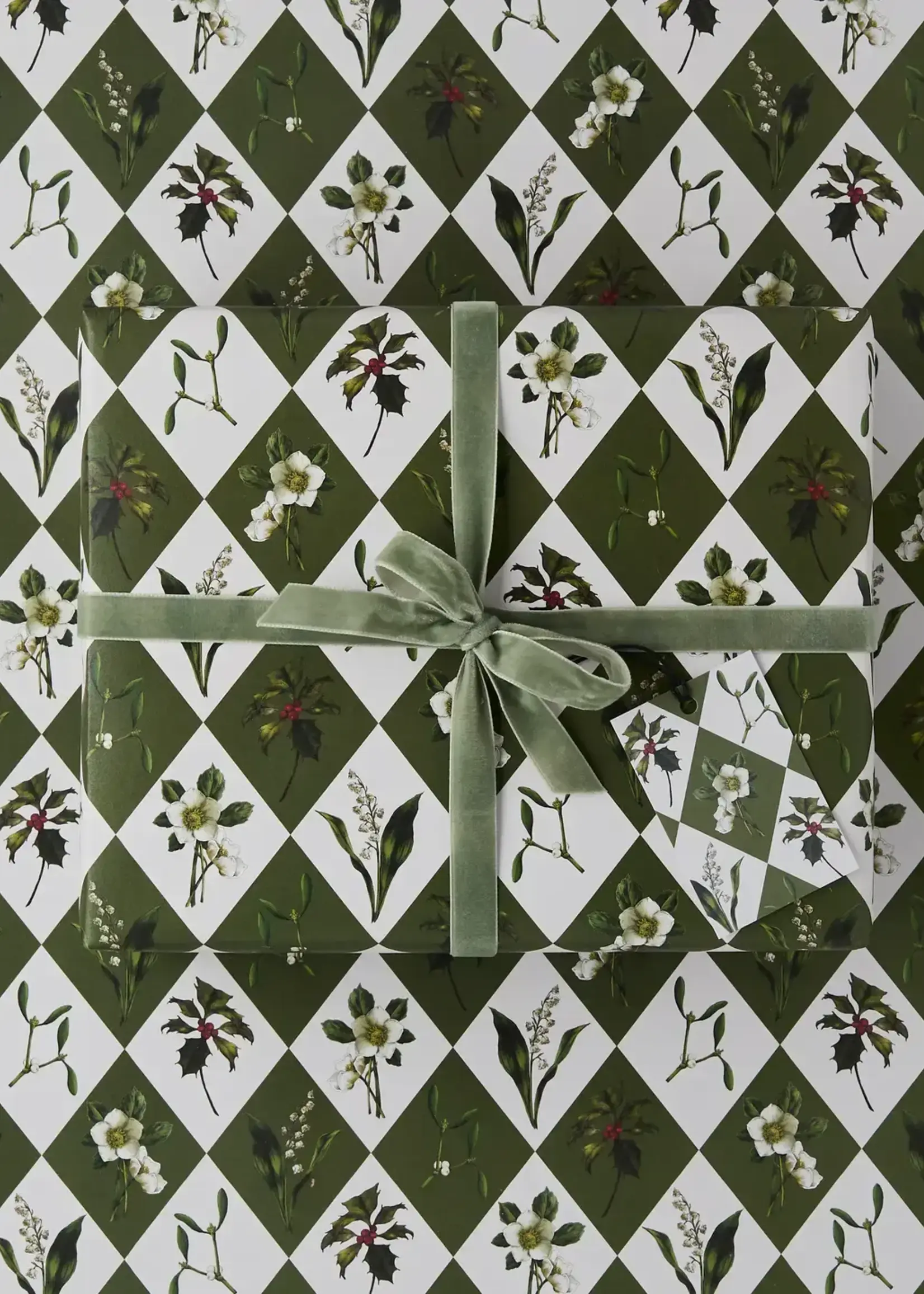 Catherine Lewis Design Catherine Lewis, Carnivalesque Green Check, Gift Wrap
