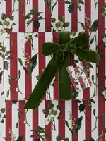 Catherine Lewis Design Catherine Lewis, Carnivalesque Red Stripe, Gift Wrap