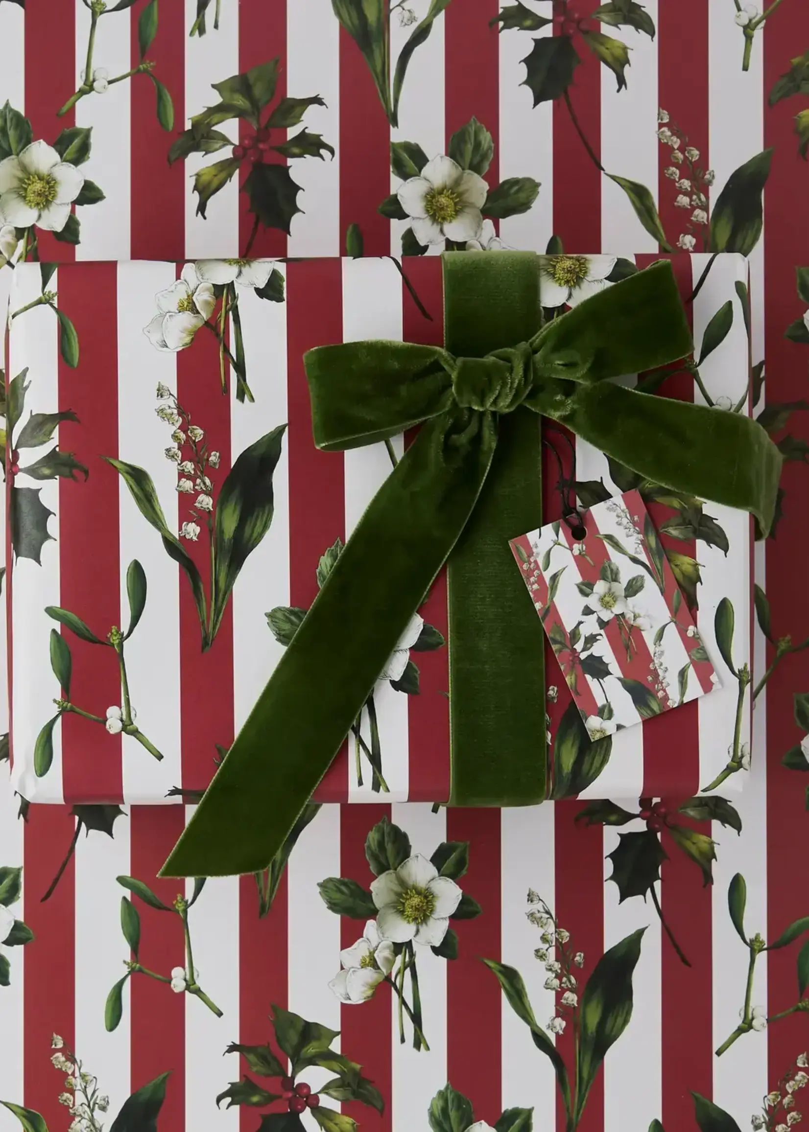 Catherine Lewis Design Catherine Lewis, Carnivalesque Red Stripe, Gift Wrap
