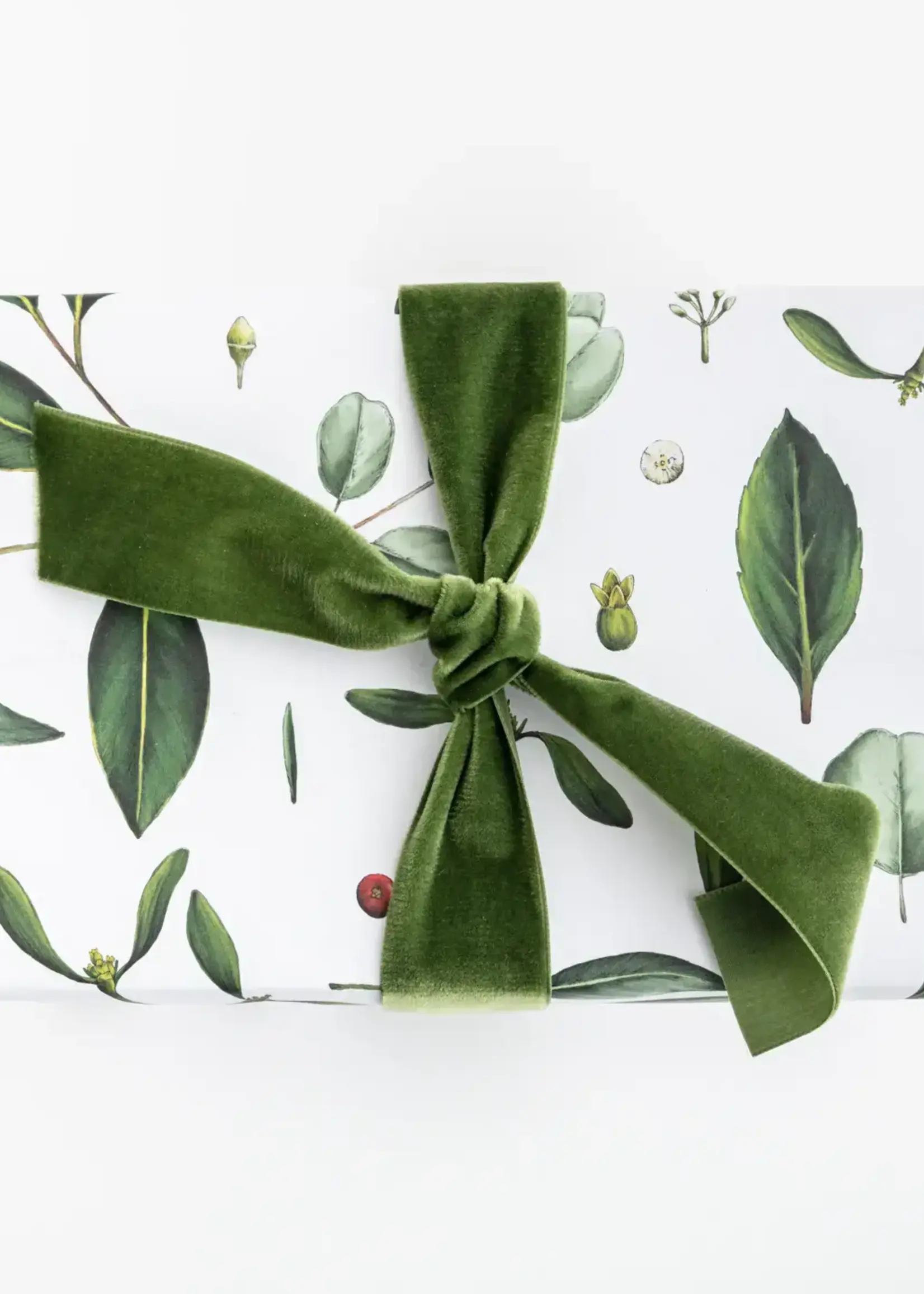 Catherine Lewis Design Catherine Lewis, Greenery White Christmas Gift Wrap