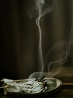 Standing Spruce Blue & White Sage Smudge Sticks