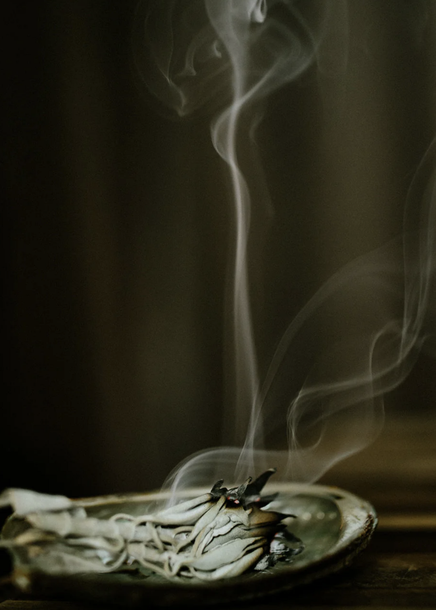 Standing Spruce Blue & White Sage Smudge Sticks