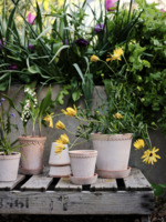 Bergs Potter Bergs Potter, HELENA  Raw Rosa, 21cm