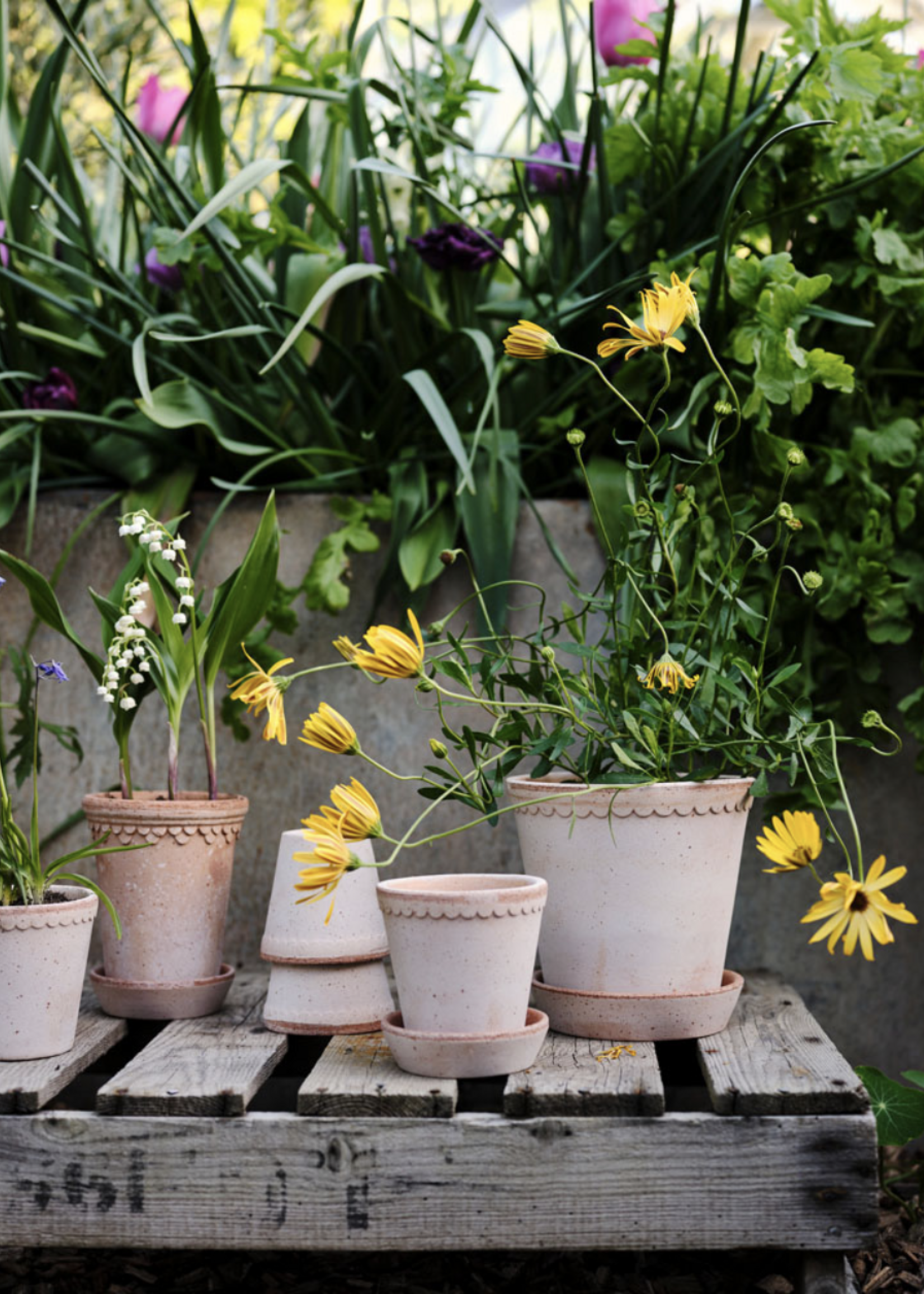 Bergs Potter Bergs Potter, HELENA  Raw Rosa, 21cm