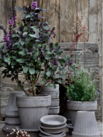 Bergs Potter Bergs Potter SIMONA, Raw Grey 18cm