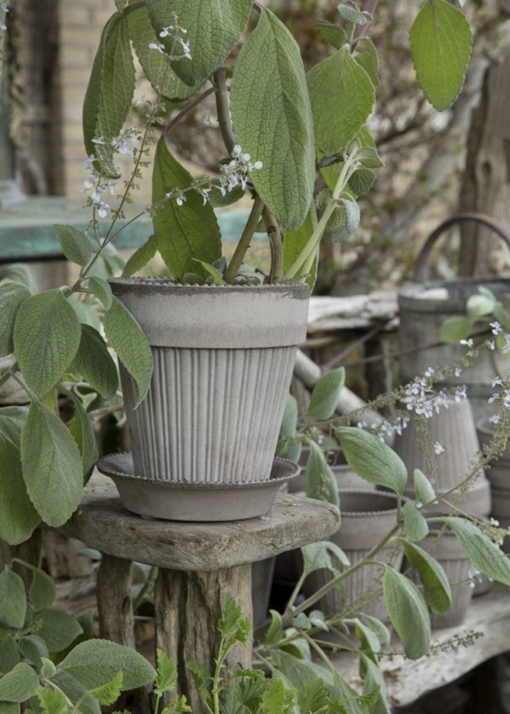 Bergs Potter Bergs Potter SIMONA, Raw Grey 18cm