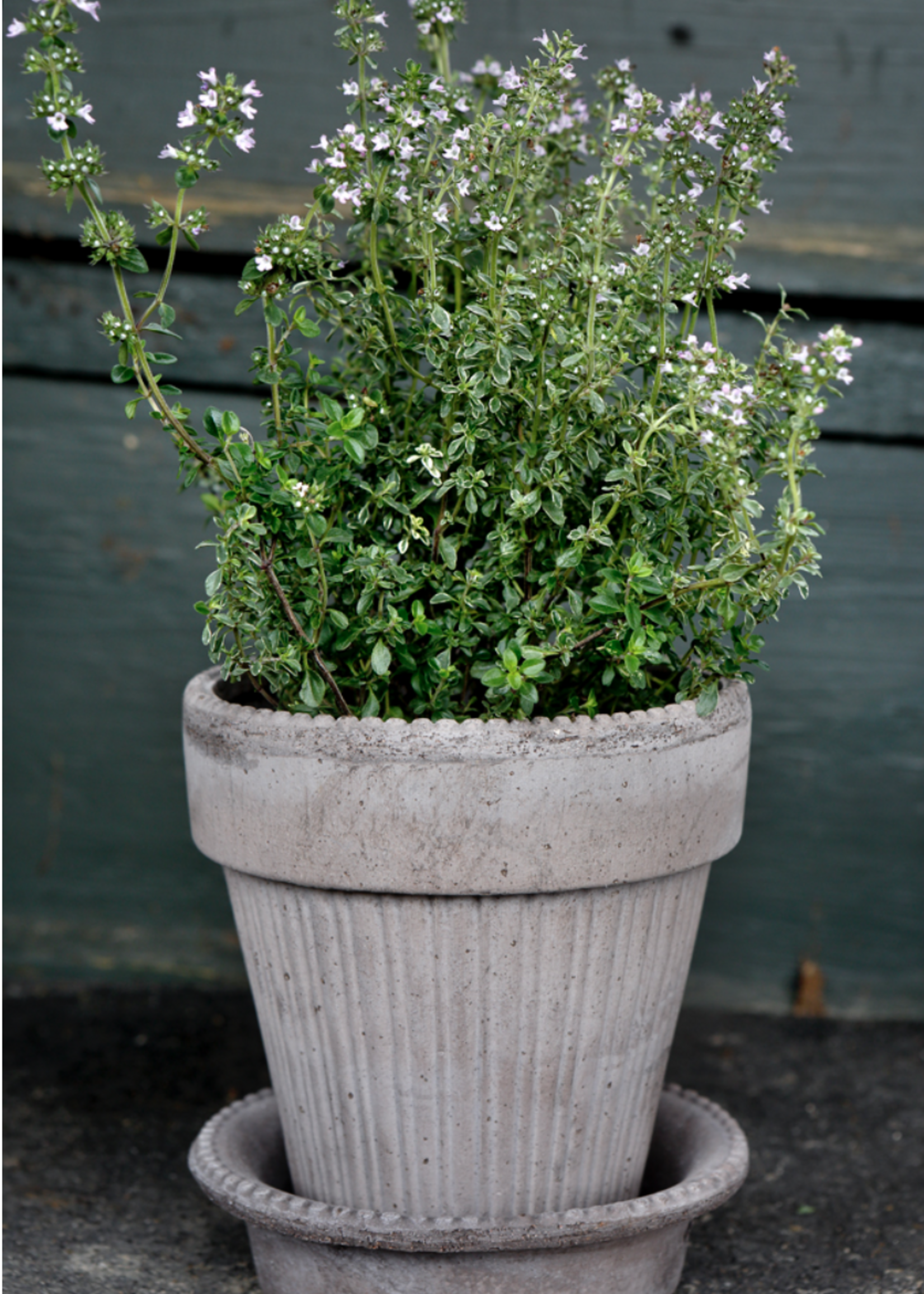 Bergs Potter Bergs Potter SIMONA, Raw Grey 18cm