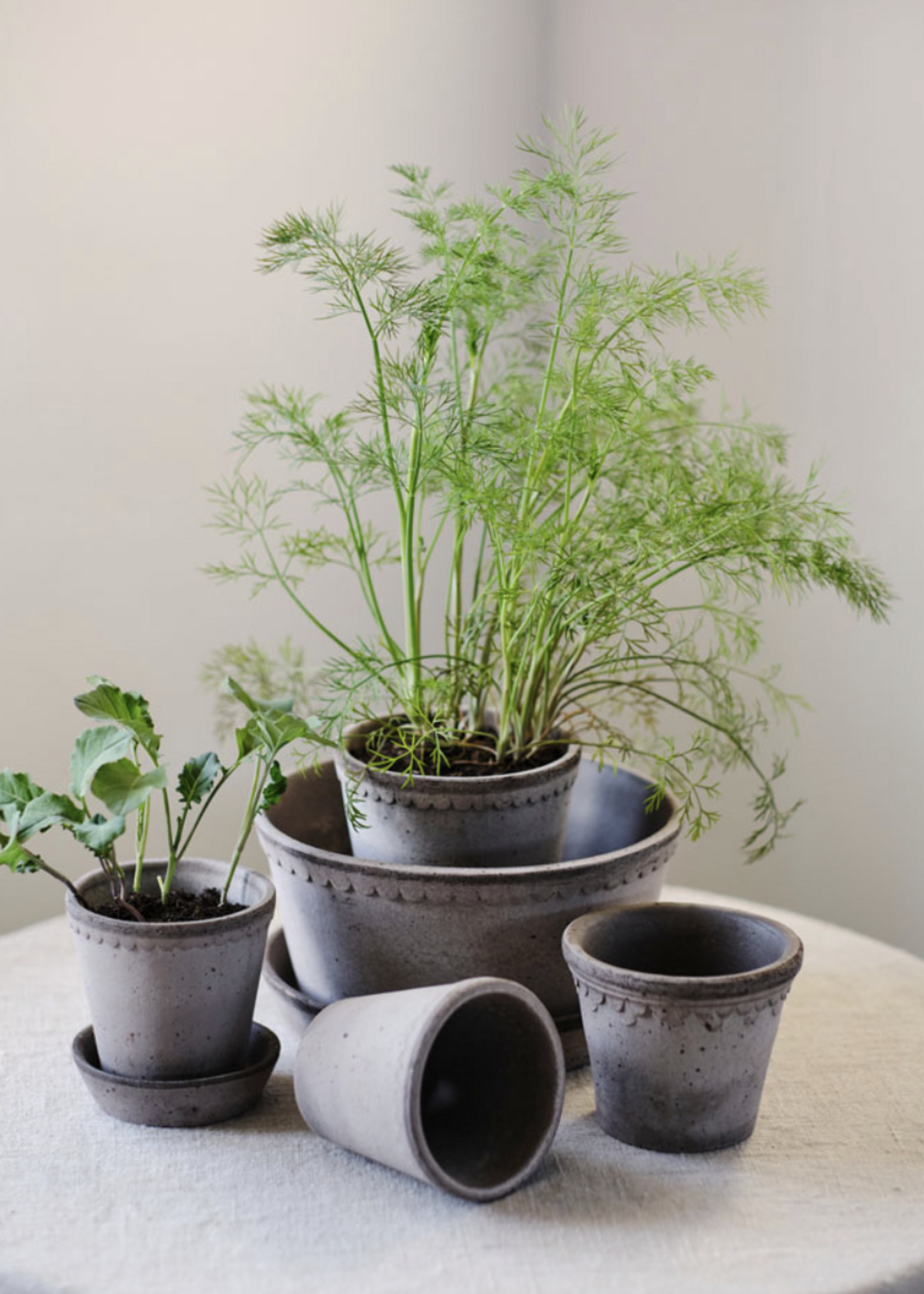 Bergs Potter Bergs Potter COPENHAGEN, Raw Grey 21cm Low