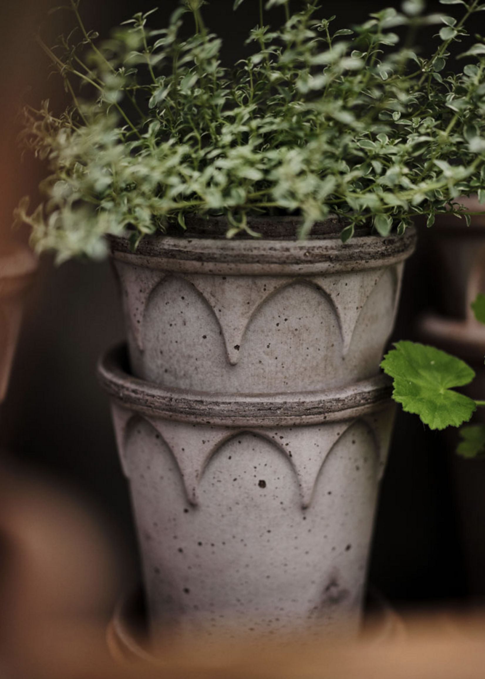 Bergs Potter Bergs Potter ELIZABETH, Raw Grey 18cm