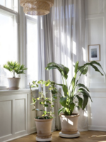 Bergs Potter Bergs Potter EMILIA, Raw Rosa 35cm