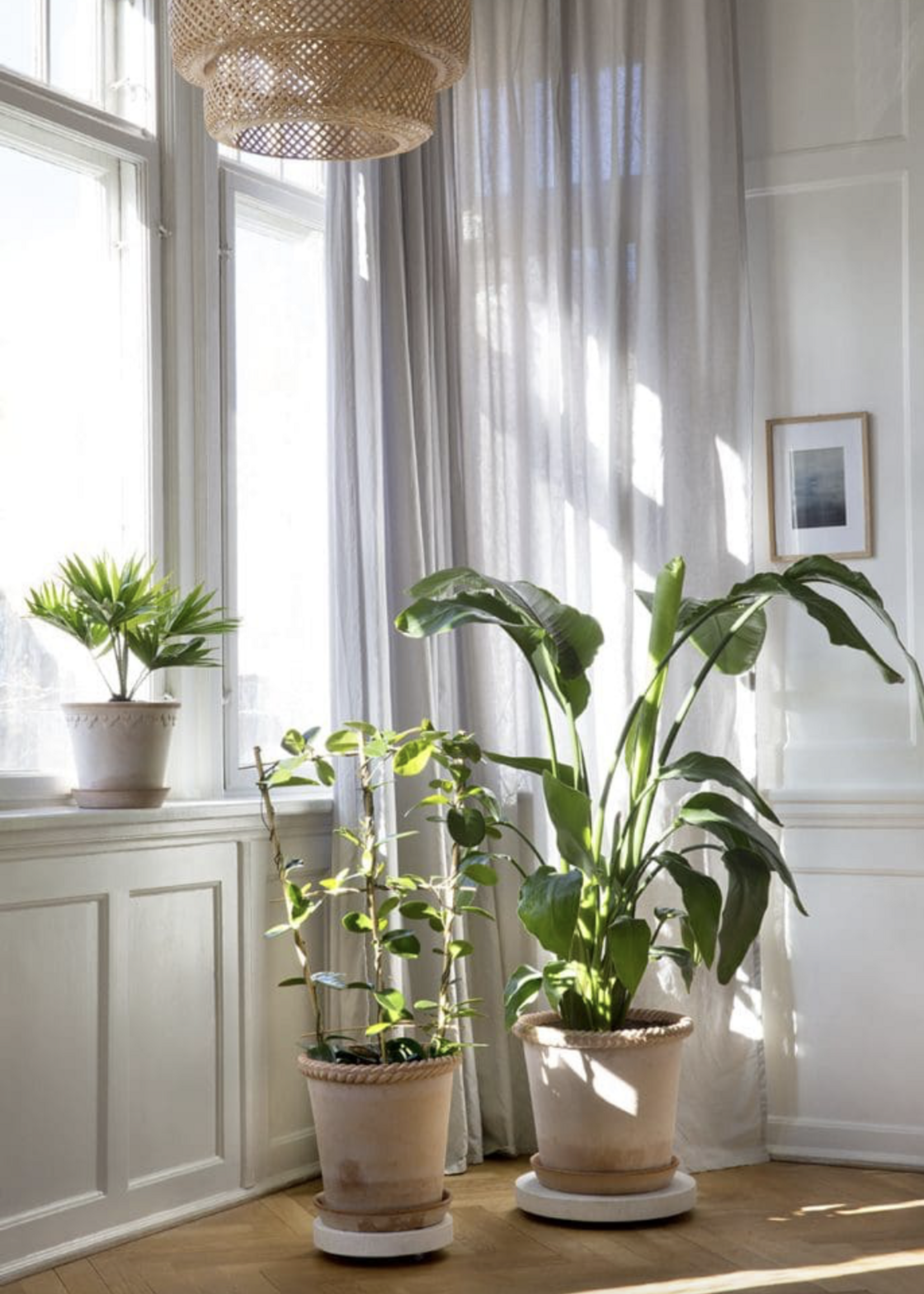 Bergs Potter Bergs Potter EMILIA, Raw Rosa 35cm