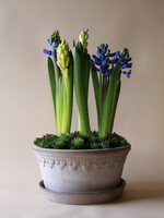 Bergs Potter Bergs Potter COPENHAGEN, Raw Grey 25cm Low