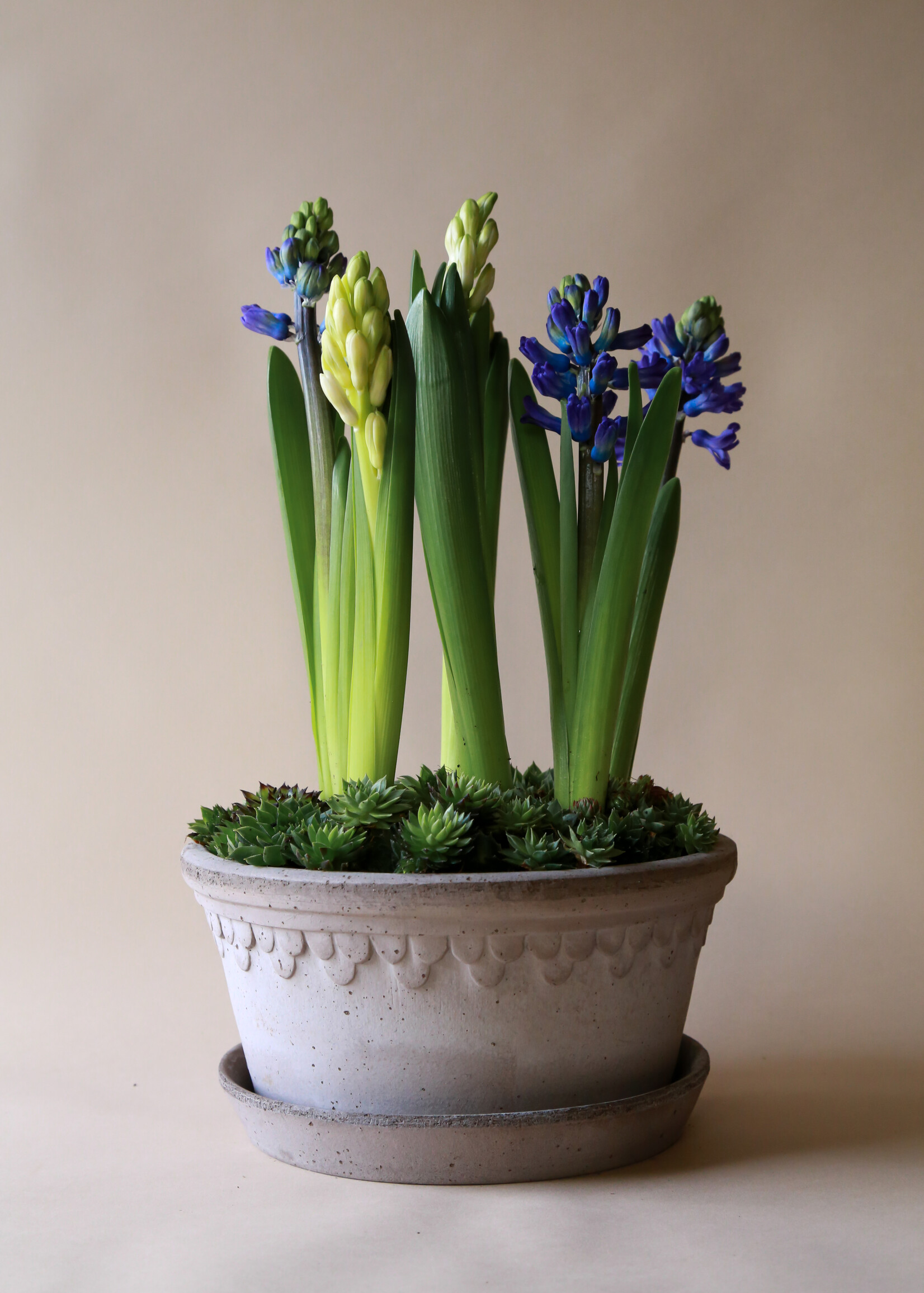 Bergs Potter Bergs Potter COPENHAGEN, Raw Grey 25cm Low