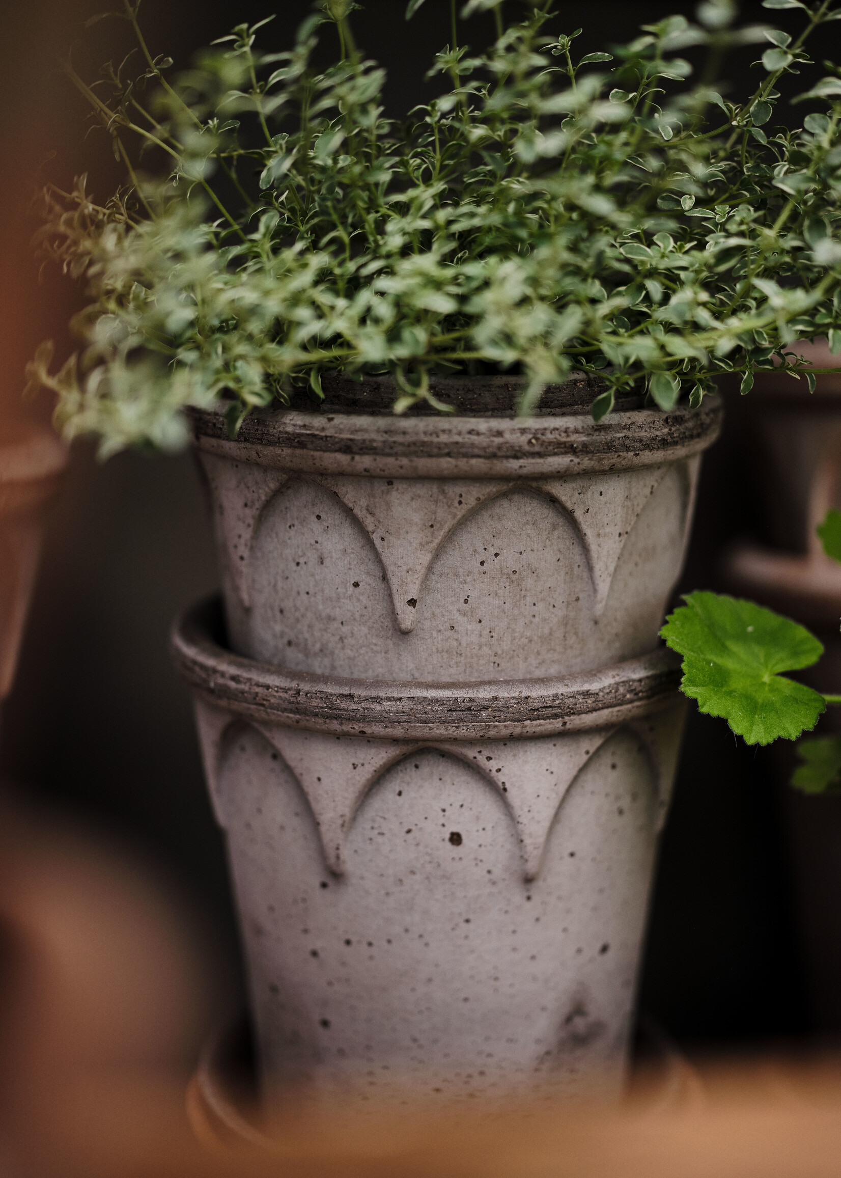 Bergs Potter Bergs Potter ELIZABETH, Raw Grey 25cm