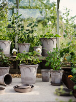 Bergs Potter Bergs Potter ELIZABETH, Raw Grey 25cm