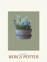 Mother's Day Planted Bergs Potter Workshop, Saturday May 9th 10-11