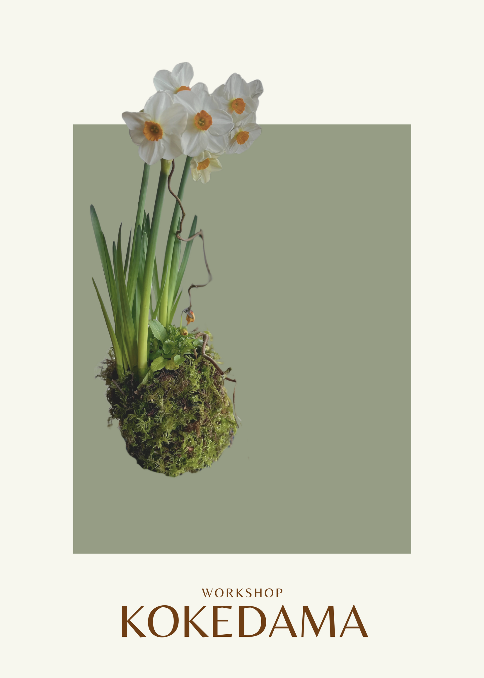 Kokedama Workshop,  Saturday, February 21th, 10-11