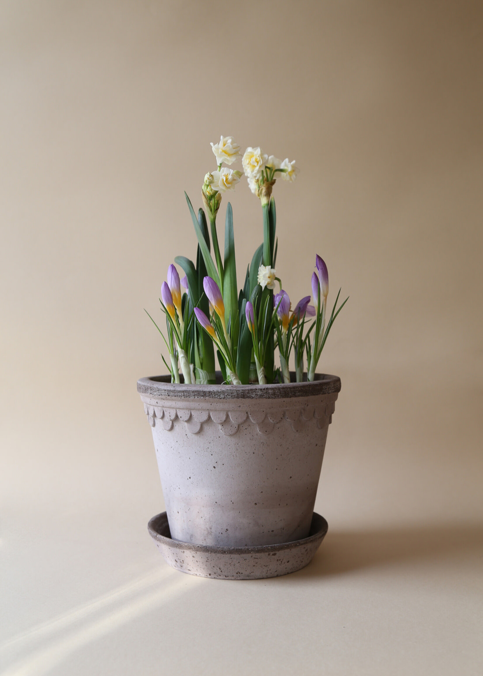 Bergs Potter Bergs Potter COPENHAGEN, Raw Grey 21cm