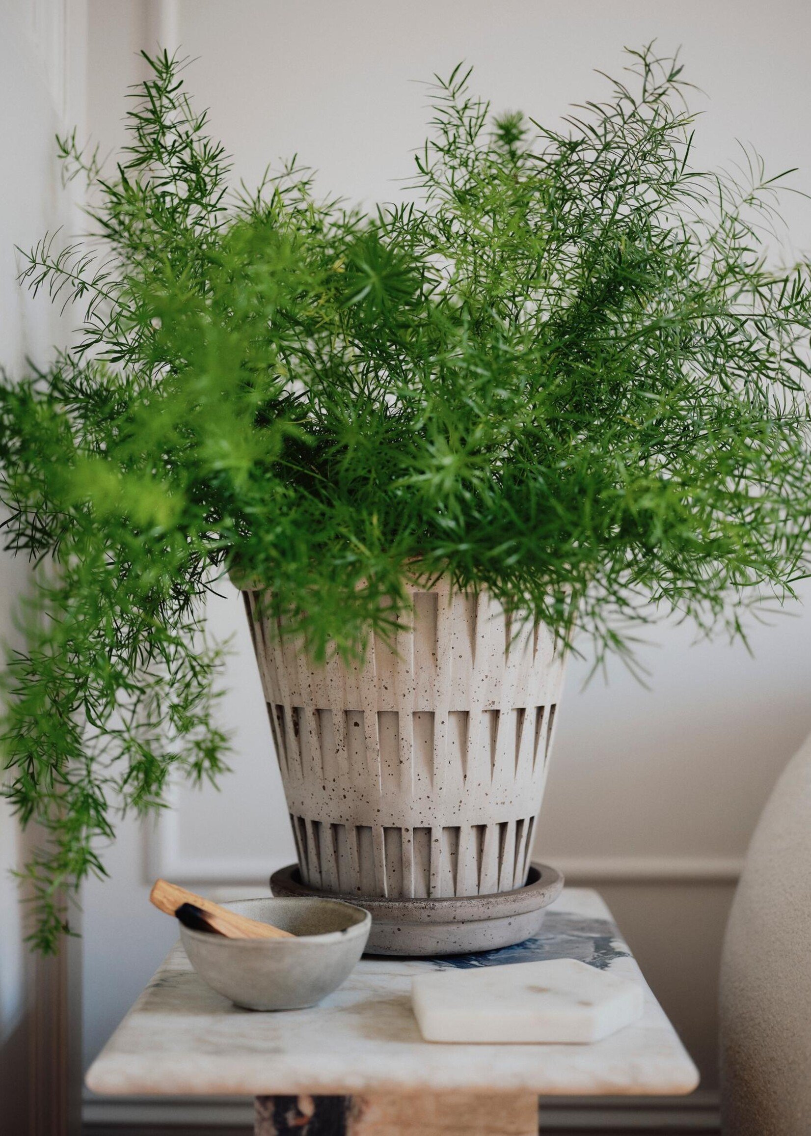 Bergs Potter Bergs Potter, PANTHEON, Raw Grey, 21cm