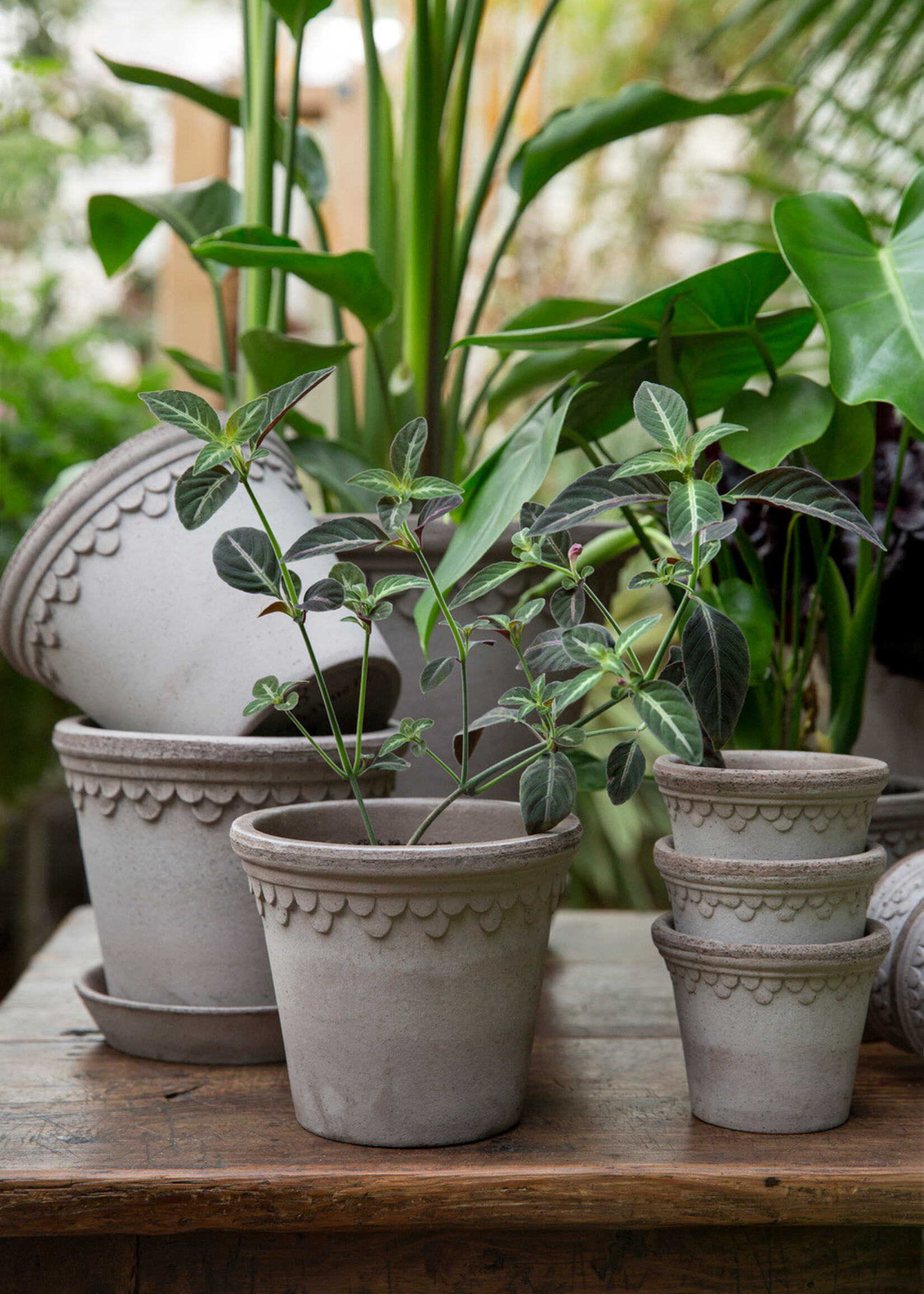 Bergs Potter Bergs Potter, COPENHAGEN, 16cm, Raw Grey