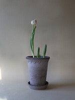 Bergs Potter Bergs Potter, COPENHAGEN, Raw Grey, 14cm tall