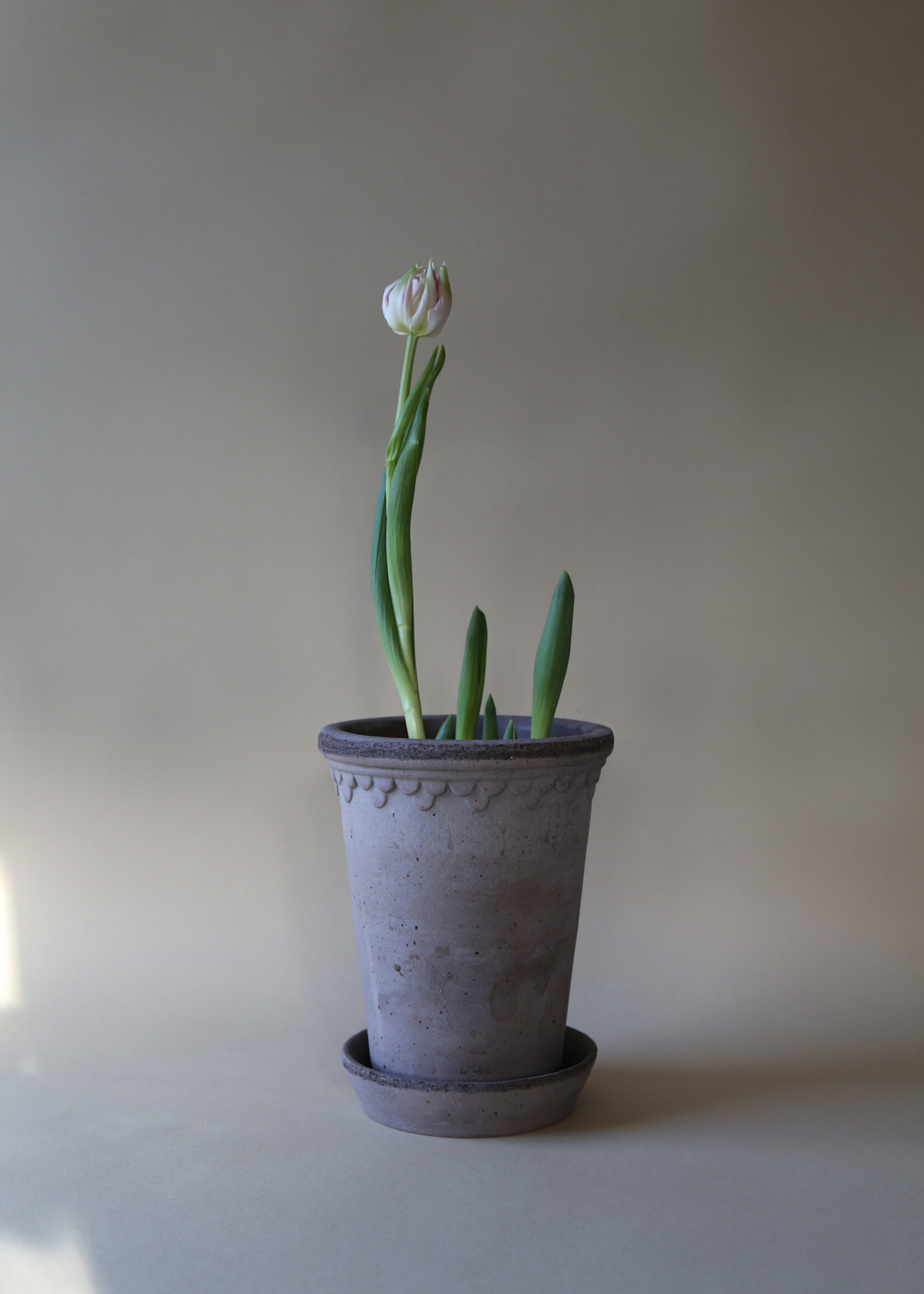 Bergs Potter Bergs Potter, COPENHAGEN, Raw Grey, 14cm tall