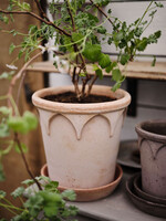 Bergs Potter Bergs Potter, ELIZABETH, 16cm, Raw Rosa