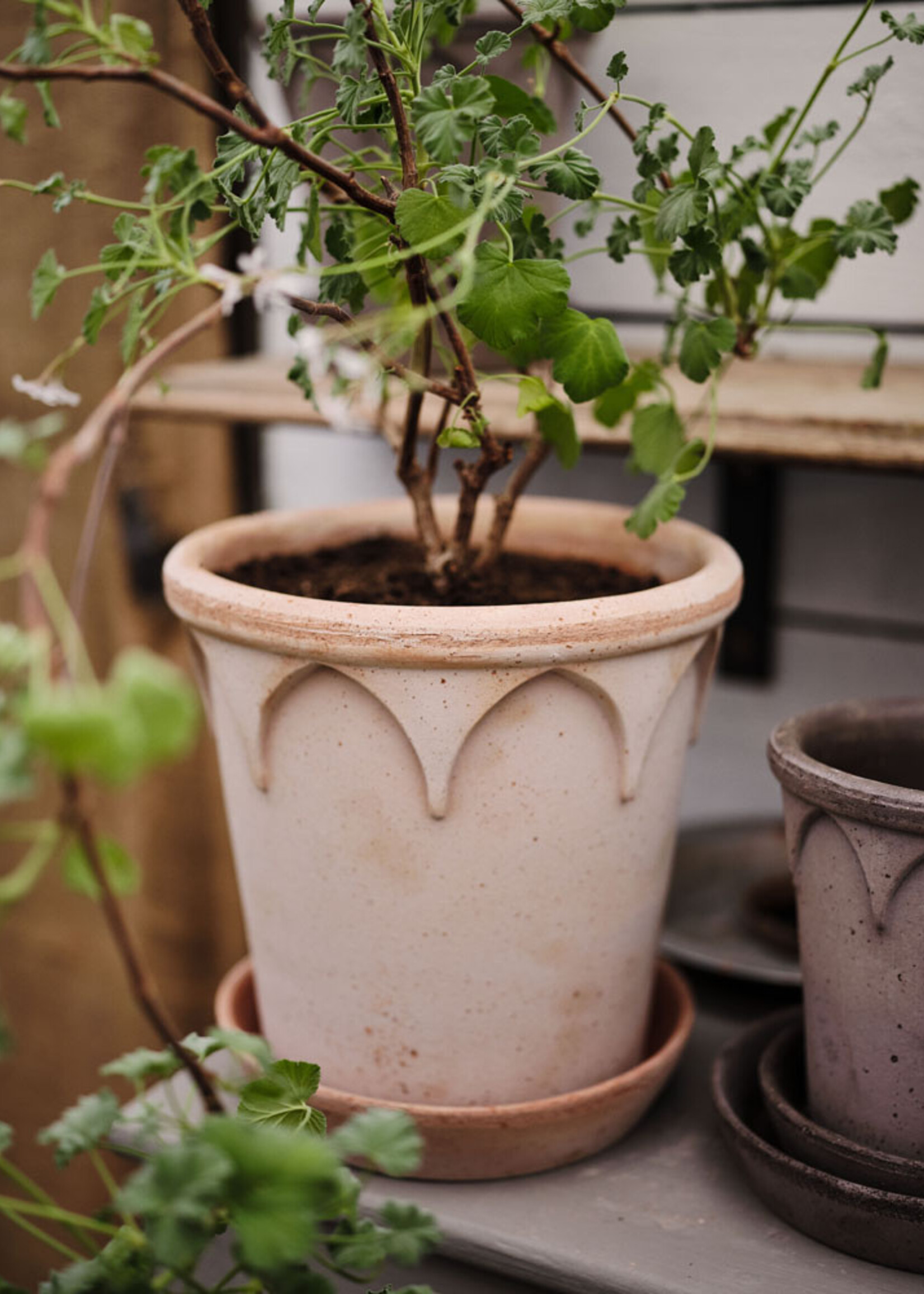 Bergs Potter Bergs Potter, ELIZABETH, 16cm, Raw Rosa