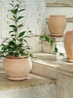 Bergs Potter Bergs Potter, DELPHI, 20cm, Raw Rose