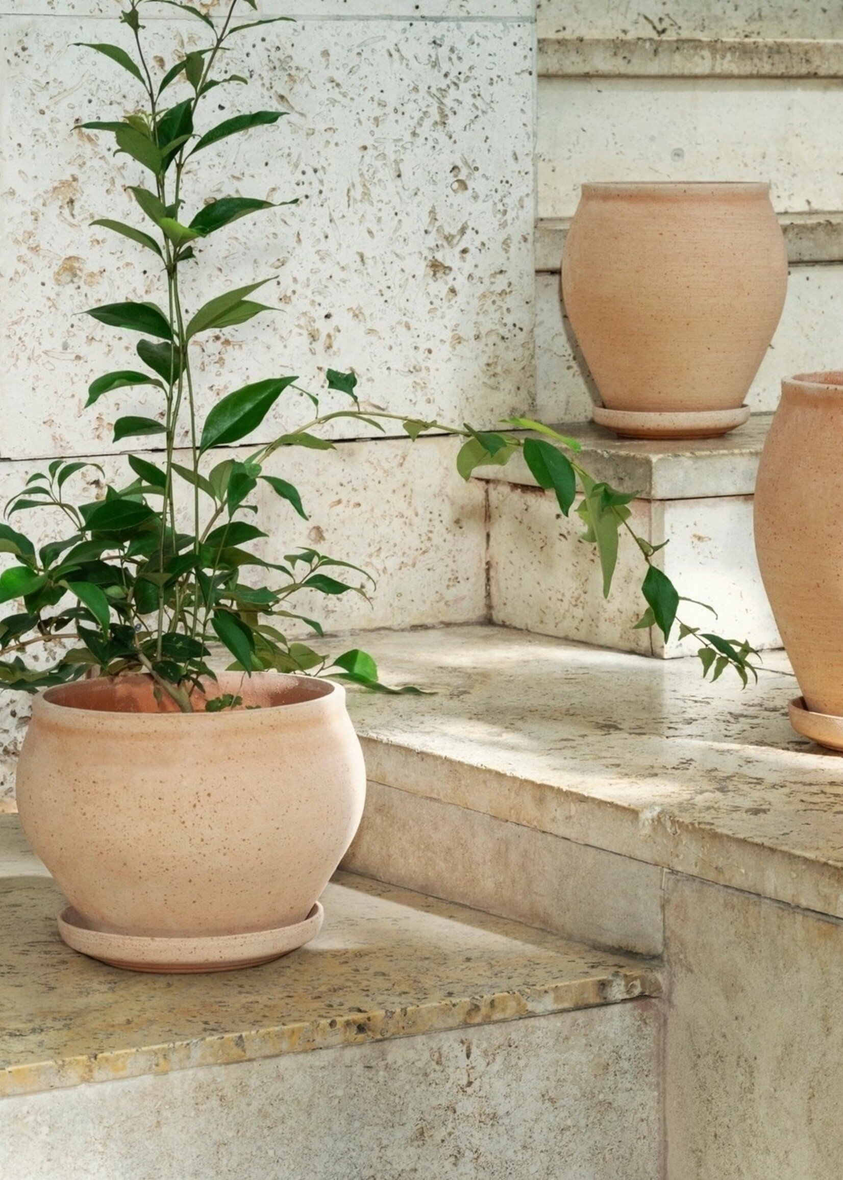 Bergs Potter Bergs Potter, DELPHI, 20cm, Raw Rose