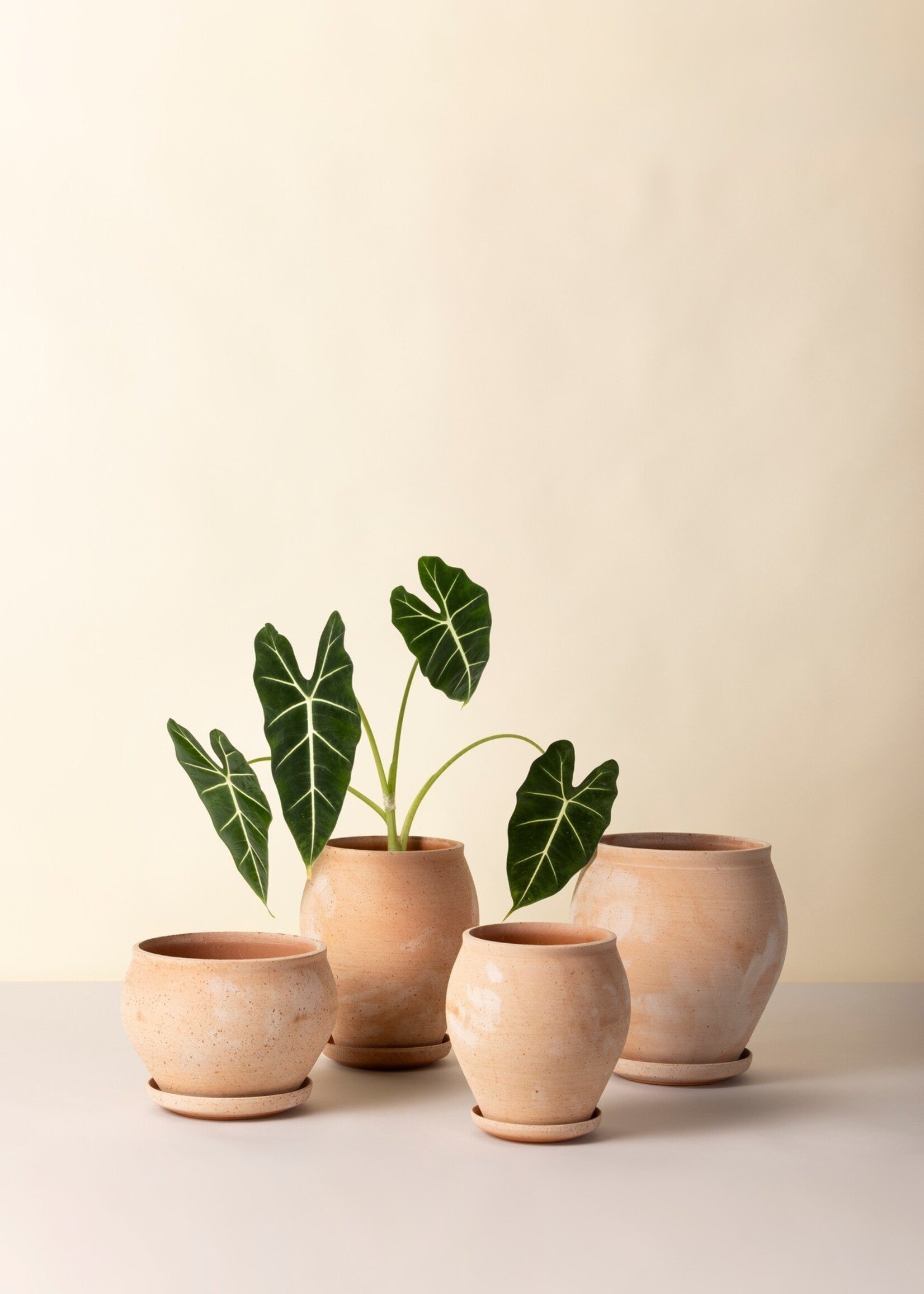 Bergs Potter Bergs Potter, Delphi, 26cm, Raw Rosa