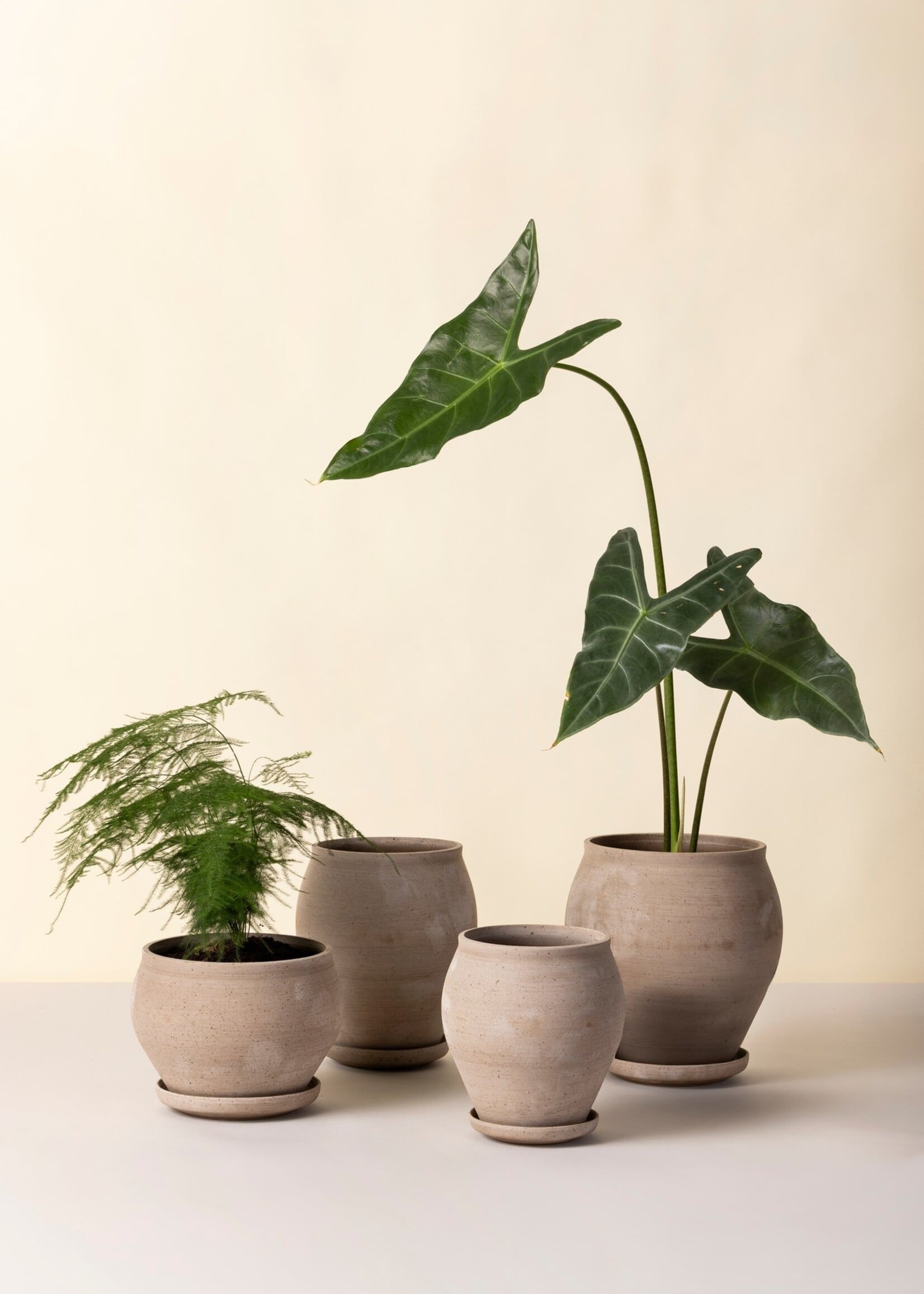 Bergs Potter Bergs Potter, Delphi Tall Pot, Raw Grey