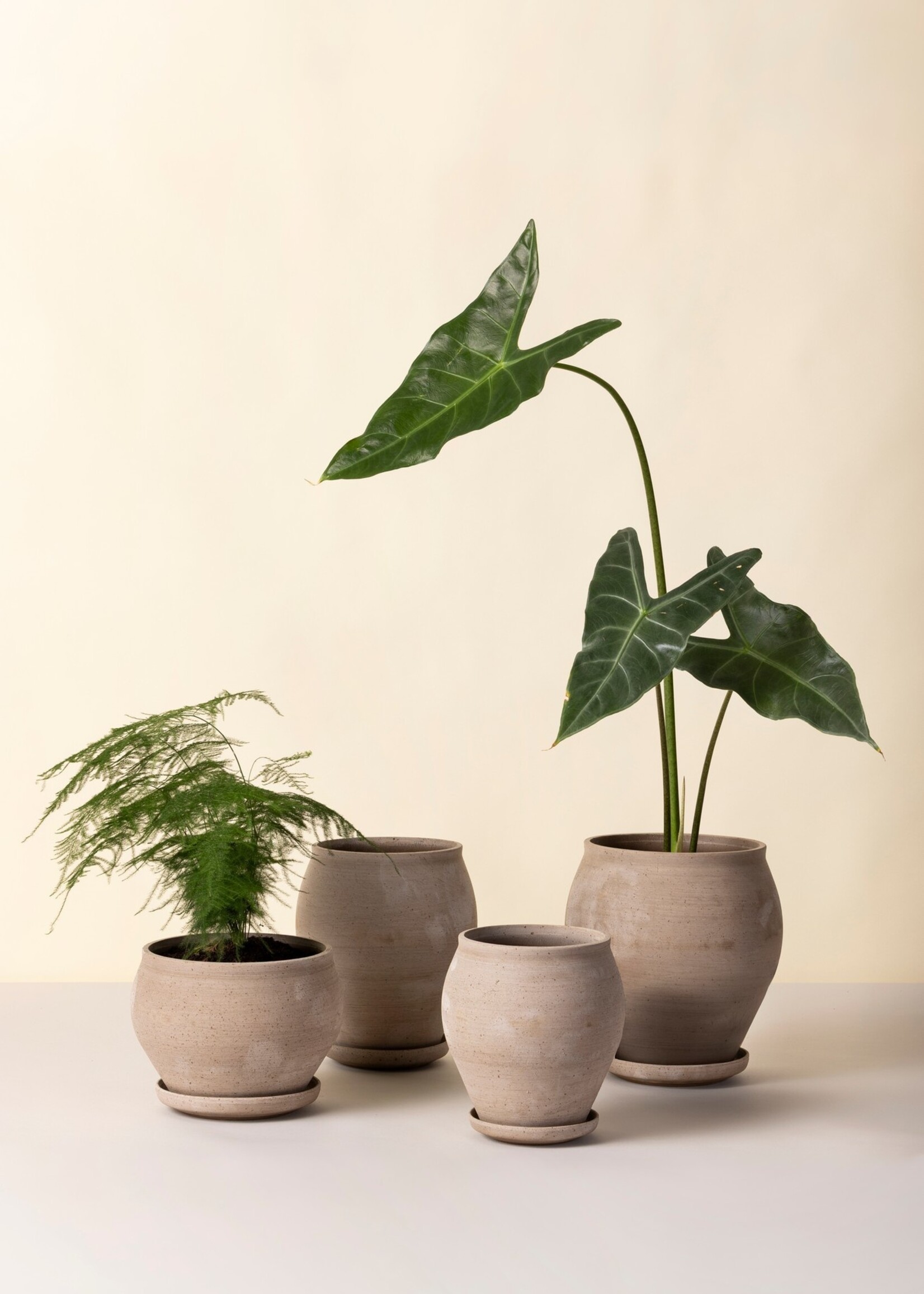 Bergs Potter, Delphi Tall Pot, Raw Grey