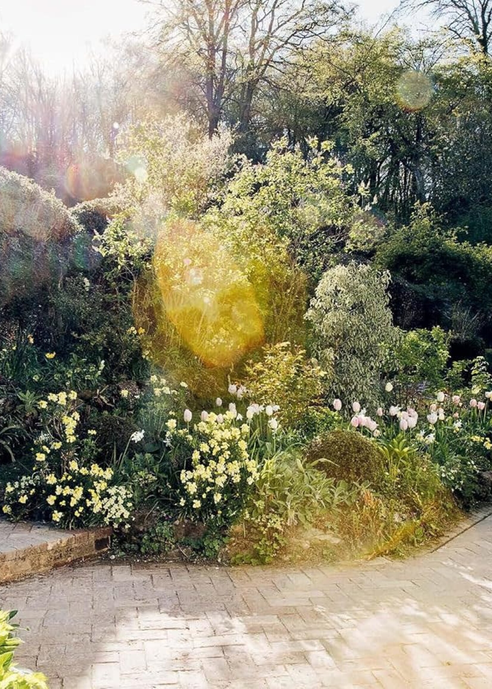 How Does Your Garden Grow, Milli Proust