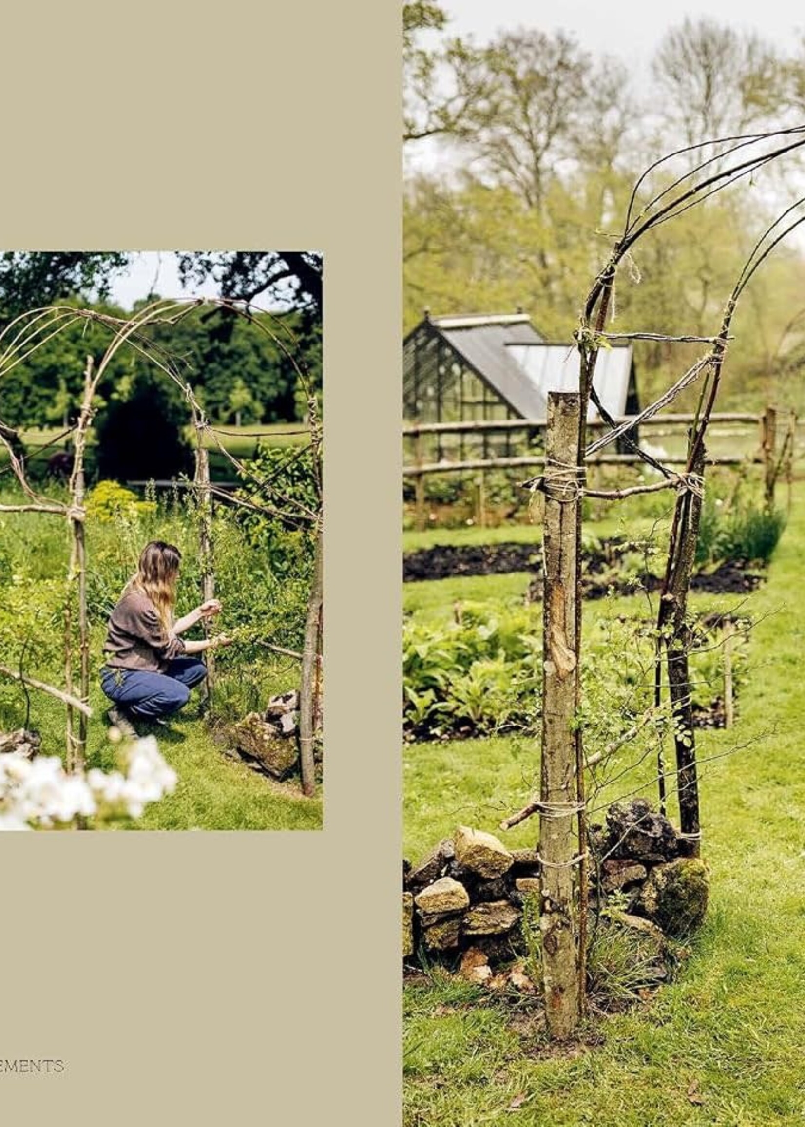How Does Your Garden Grow, Milli Proust