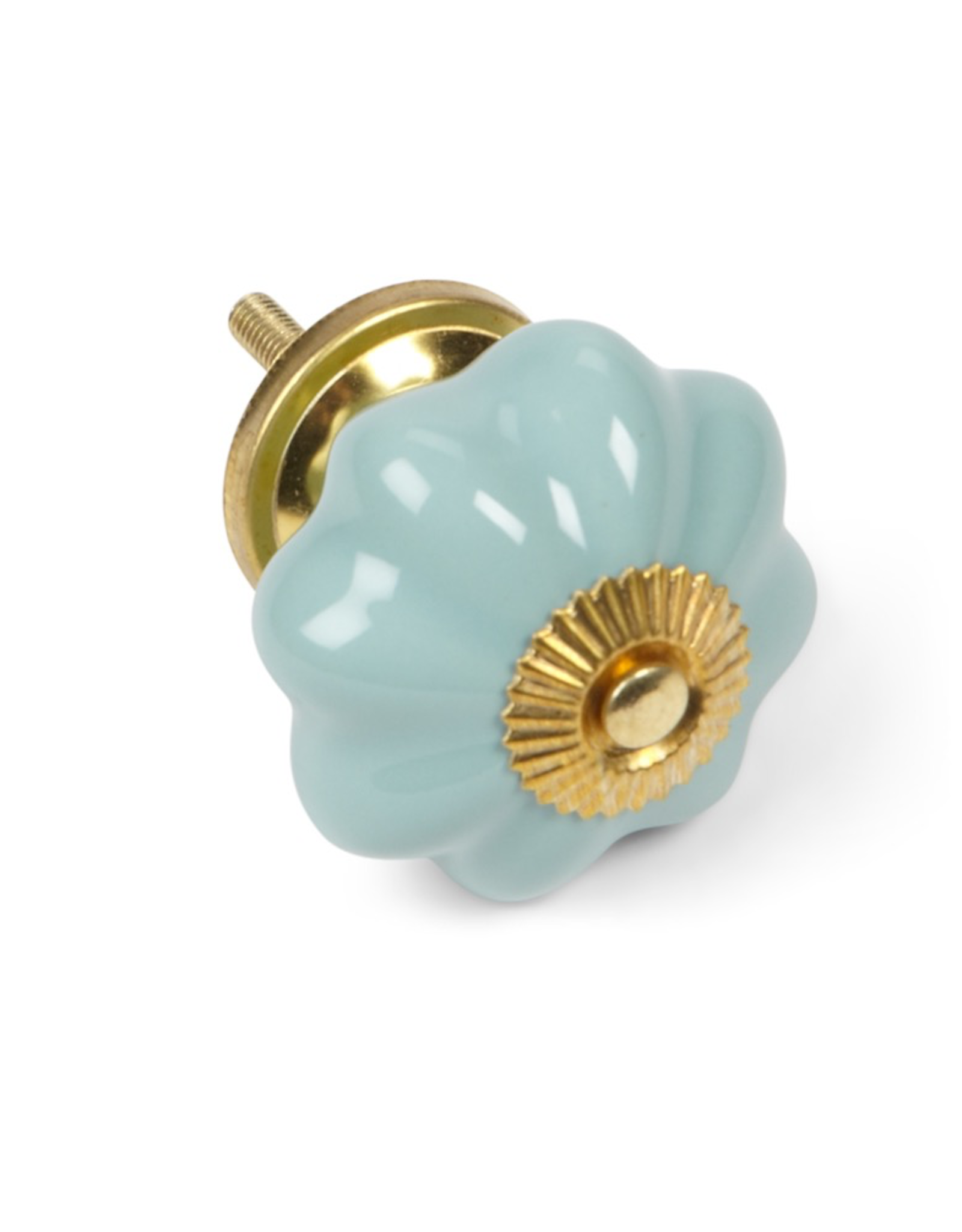 Turquoise Pumpkin Knob