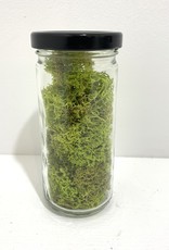 Lime Moss in Glass Jar 8oz