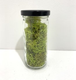 Lime Moss in Glass Jar 8oz