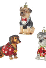 Dog in Suit Ornament 4.5" 3 Assorted