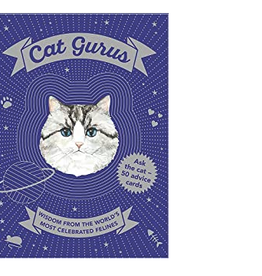 Cat Gurus Cards