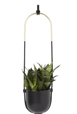 Black Bolo Planter D6" H43"