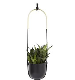 Black Bolo Planter D6" H43"