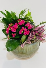 6" Flowering Plant Arrangement in Green Pot