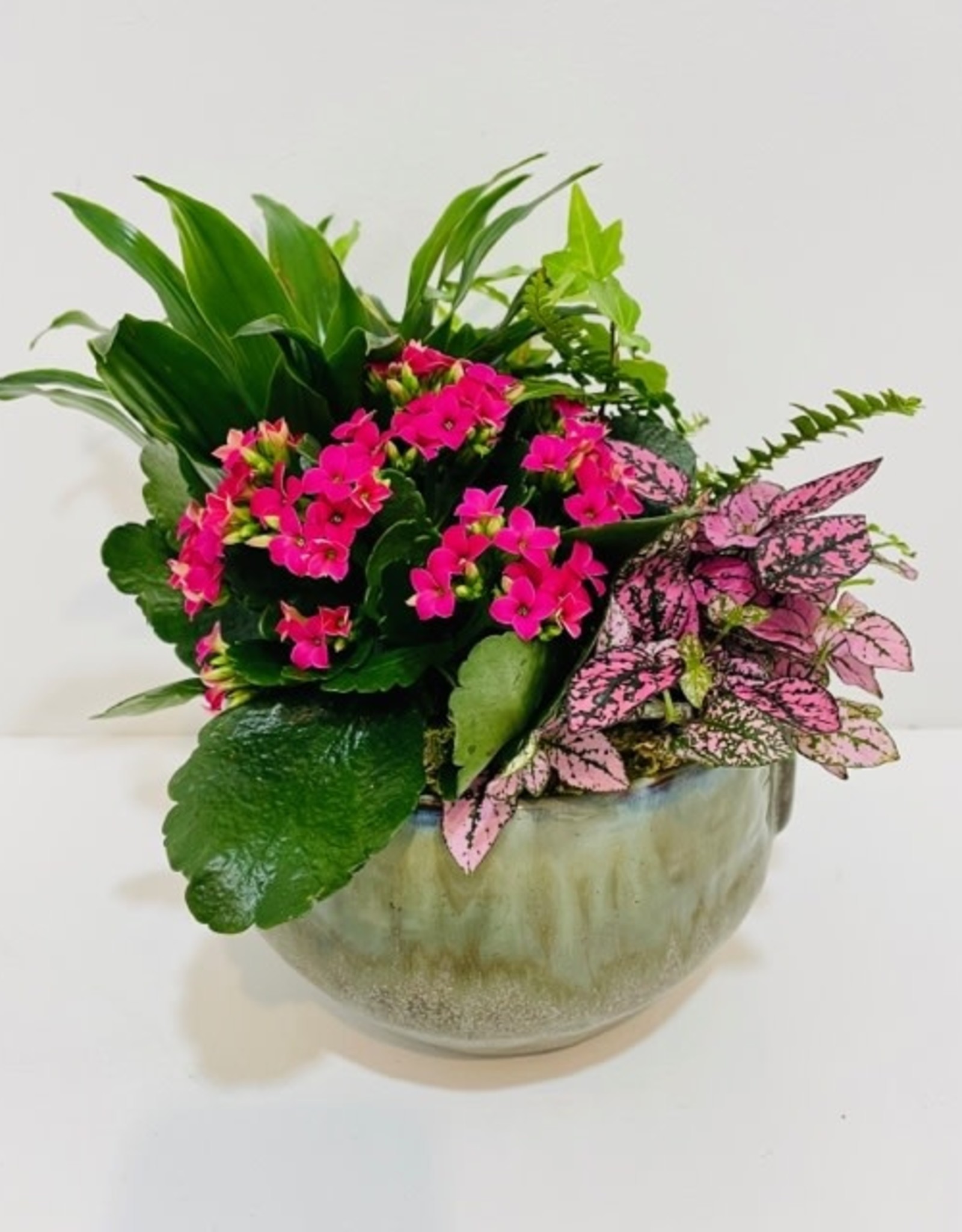6" Flowering Plant Arrangement in Green Pot