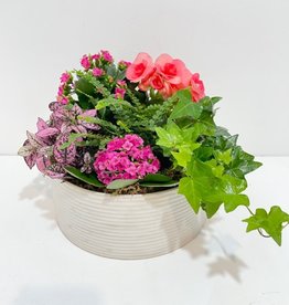 9.5" Flowering Plant Arrangement in Off White Ceramic Bowl