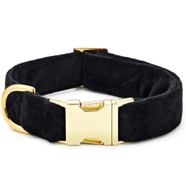 Small Black Velvet Dog Collar L11"-16" W5/8"