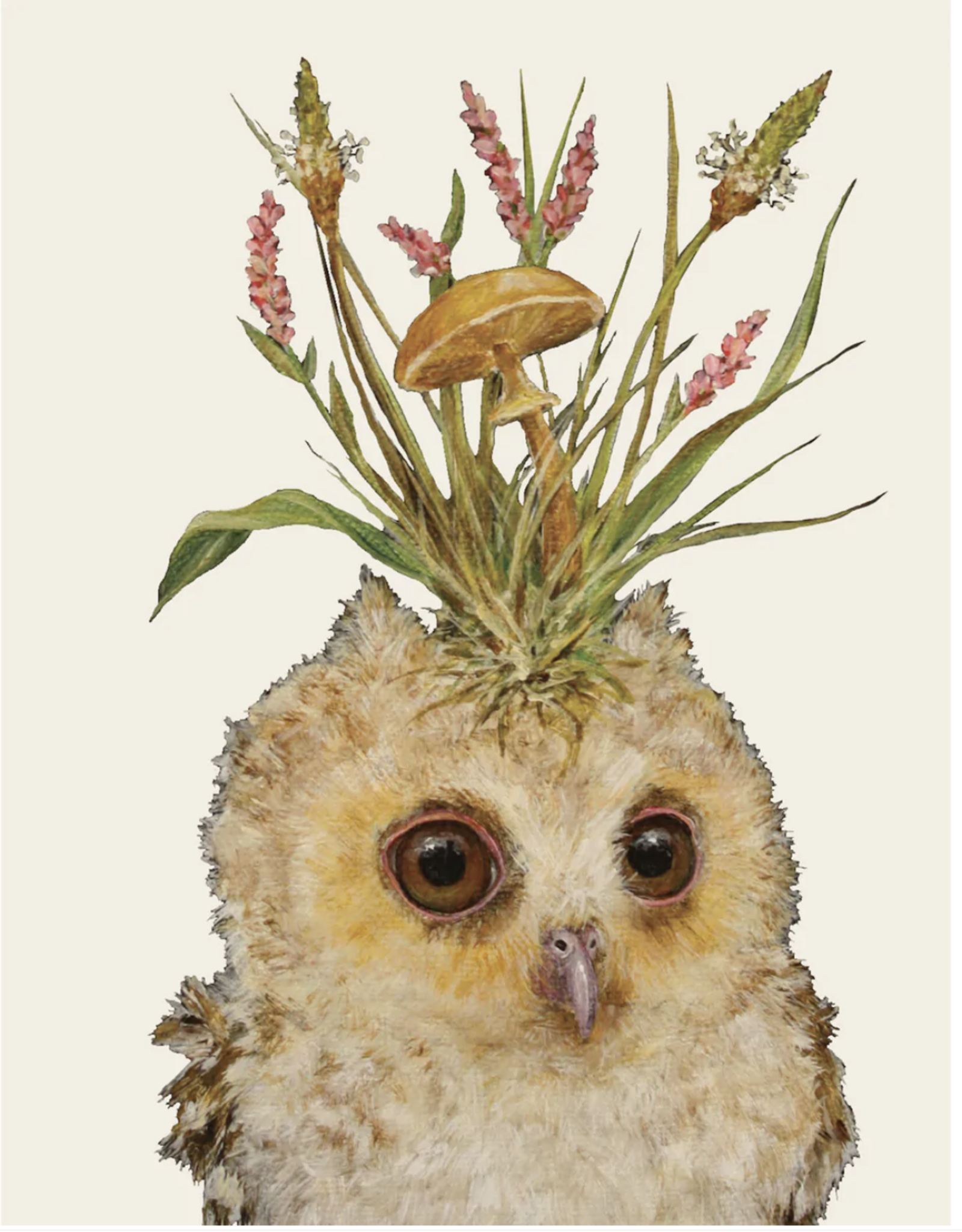 Louisa May Baby Owl Card
