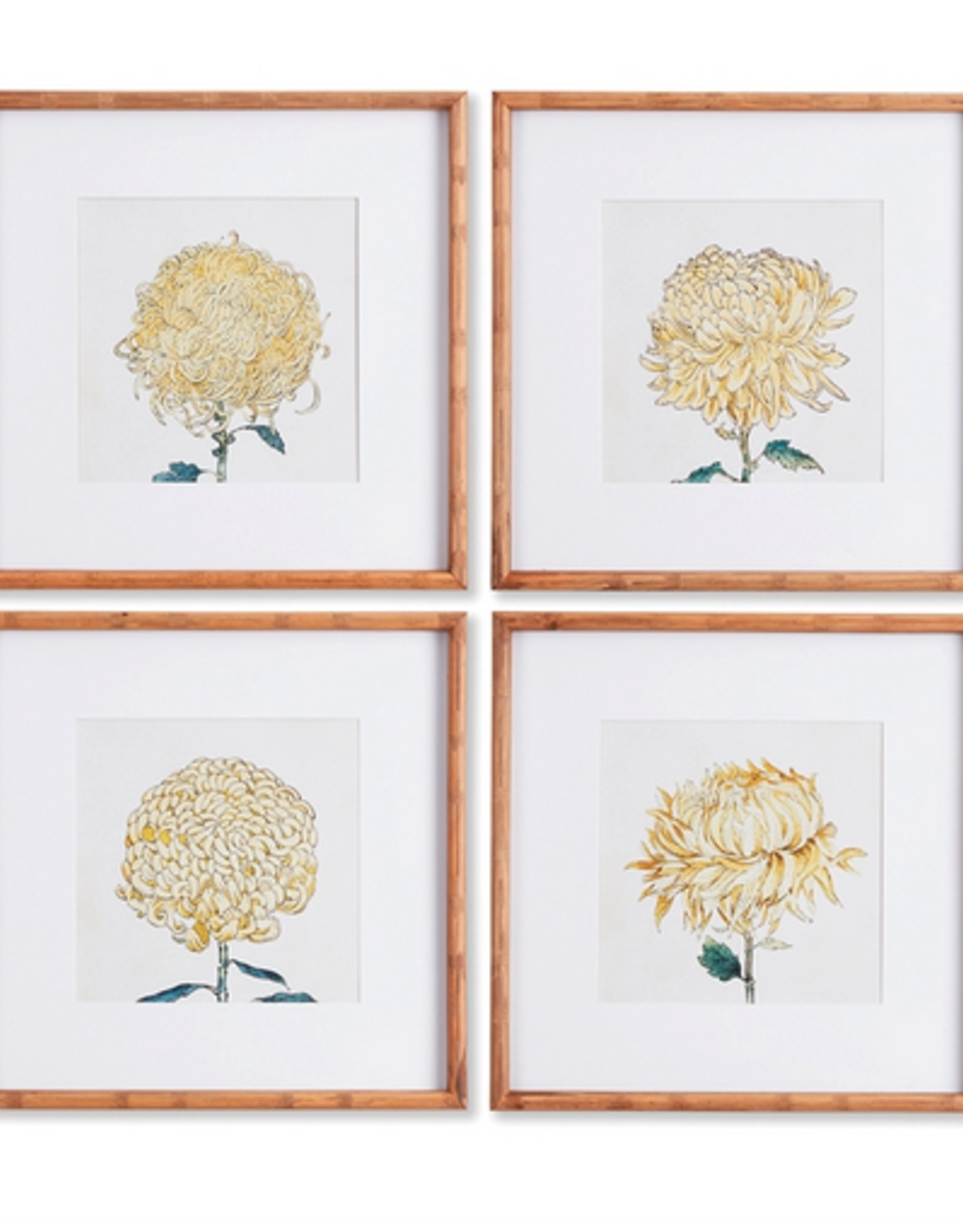 Chrysanthemum Print L19.5" - 4 Assorted