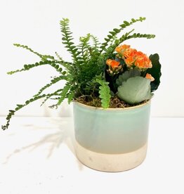 5" Flowering Plant Arrangement in Green Ceramic Pot